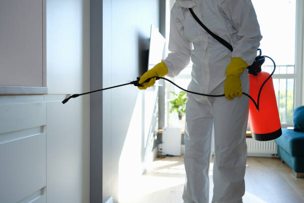  Georgetown, TX Mold Removal Pros